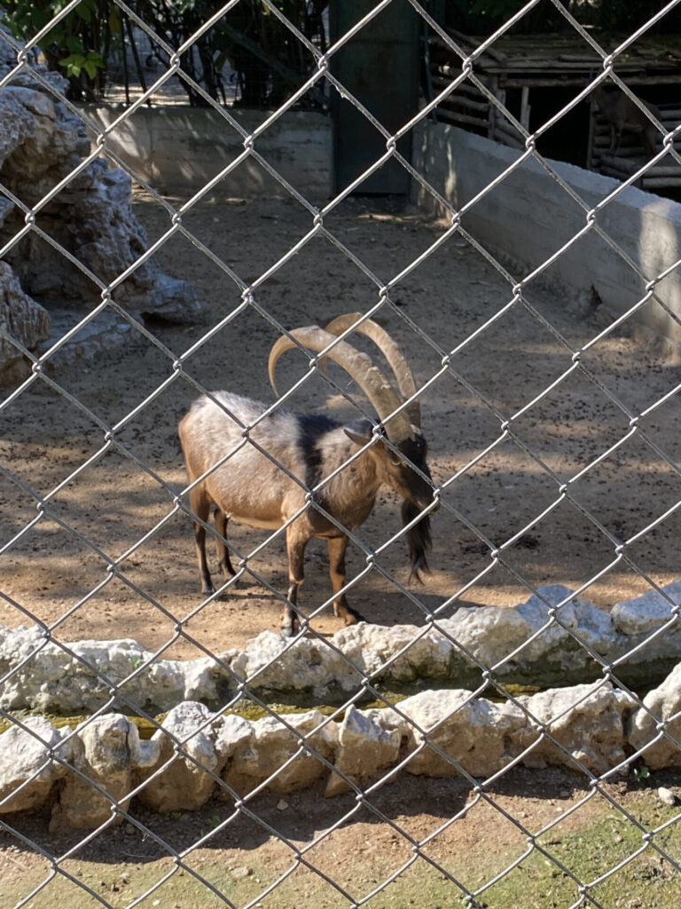 庭園内には小さな動物園もあります