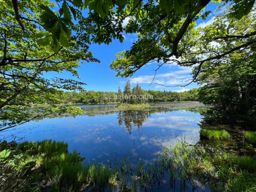 北海道・知床五胡、静寂な湖と雄大な自然が広がる世界遺産の絶景スポット