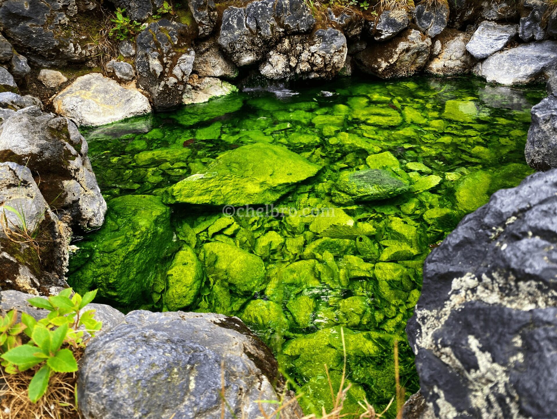 群馬リゾートバイト：温泉の川が流れる幻想的な風景・西の河原公園①